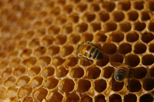 Happy-Valley-s-Itch-Solvers Happy Valley Honey