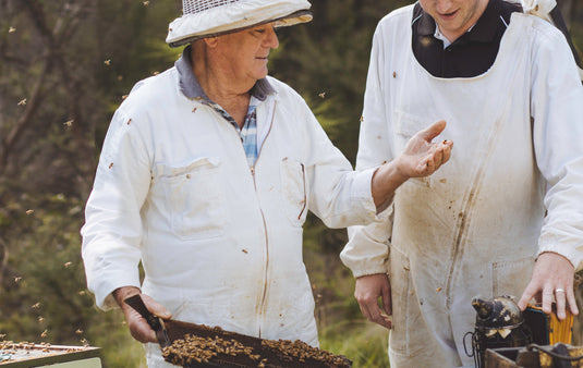 How to help save the bees!