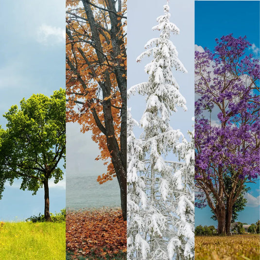 Quick-Guide-to-Skincare-Routine-Changes-for-Each-Season Happy Valley Honey