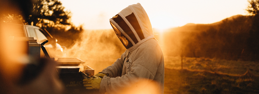 From Remote NZ Bush to Your Table: The Journey of New Zealand Manuka Honey