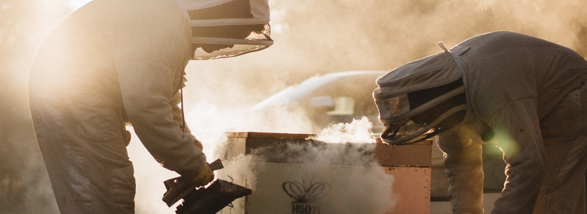 Why New Zealand Manuka Honey Is the World’s Most Sought-After Honey