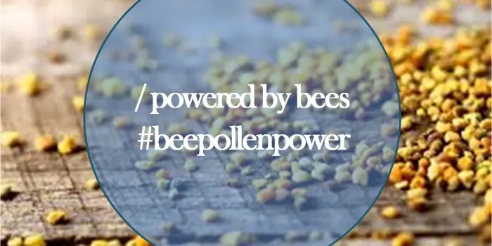 Powered by Bees: Our workers are powered by pollen