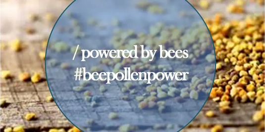 Powered-by-Bees-Our-workers-are-powered-by-pollen Happy Valley Honey