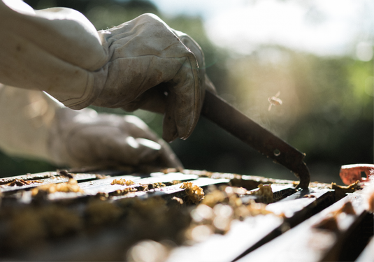 Beekeeper tending to the hive