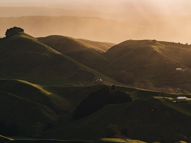 images.png__PID:7e2fe5fb-69fb-4156-ad6f-1ec4756f8d3b